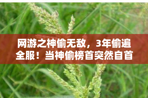 网游之神偷无敌,3年偷遍全服!当神偷榜首突然自首,百万玩家才发现,他竟偷走了我们的青春 网游之神偷无敌,3年偷遍全服!当神偷榜首突然自首,百万玩家才发现,他竟偷走了我们的青春