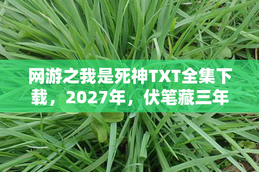 网游之我是死神TXT全集下载,2027年,伏笔藏三年,那些凌晨聊天记录让我鼻子一酸 网游之我是死神TXT全集下载,2027年,伏笔藏三年,那些凌晨聊天记录让我鼻子一酸