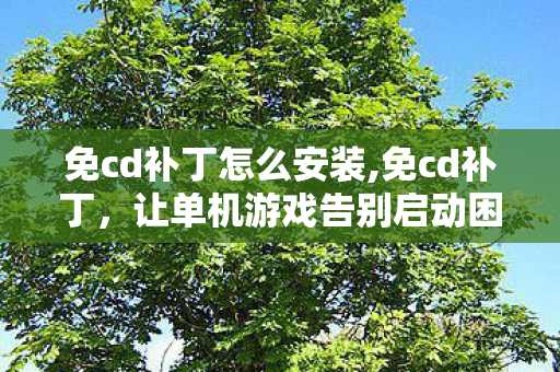 免cd补丁怎么安装,免cd补丁,让单机游戏告别启动困扰 免cd补丁怎么安装,免cd补丁,让单机游戏告别启动困扰
