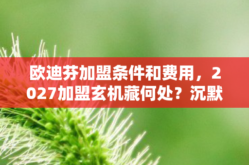 欧迪芬加盟条件和费用,2027加盟玄机藏何处?沉默中寻破局游戏密码 欧迪芬加盟条件和费用,2027加盟玄机藏何处?沉默中寻破局游戏密码