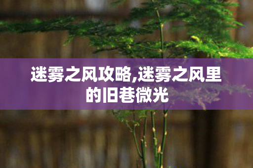迷雾之风攻略,迷雾之风里的旧巷微光 迷雾之风攻略,迷雾之风里的旧巷微光