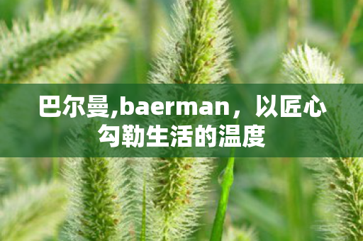 巴尔曼,baerman,以匠心勾勒生活的温度 巴尔曼,baerman,以匠心勾勒生活的温度