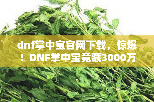 dnf掌中宝官网下载，惊爆！DNF掌中宝竟藏3000万隐情，真相曝光让人吓一跳！