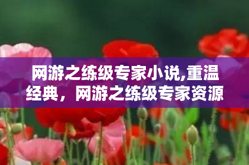 网游之练级专家小说,重温经典，网游之练级专家资源获取与玩法解析