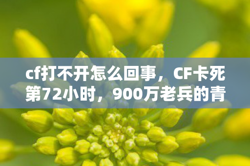 cf打不开怎么回事，CF卡死第72小时，900万老兵的青春突然断网，这刀谁顶得住？