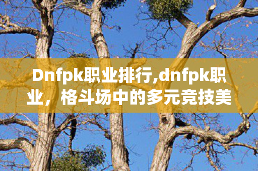 Dnfpk职业排行,dnfpk职业，格斗场中的多元竞技美学