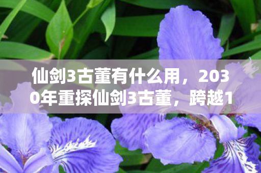 仙剑3古董有什么用，2030年重探仙剑3古董，跨越17年，隐藏玩法竟藏着惊天秘密？