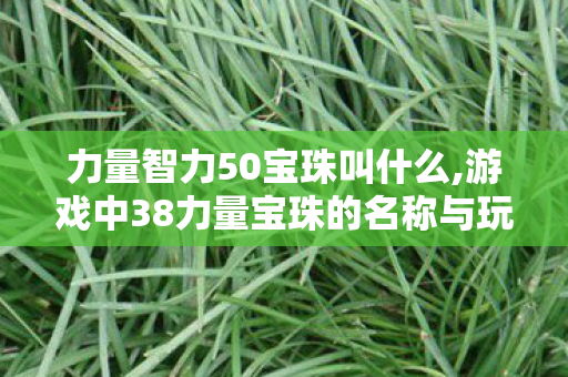 力量智力50宝珠叫什么,游戏中38力量宝珠的名称与玩法价值解析