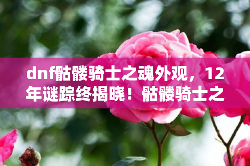 dnf骷髅骑士之魂外观，12年谜踪终揭晓！骷髅骑士之魂消逝时刻，玩家泪目真相