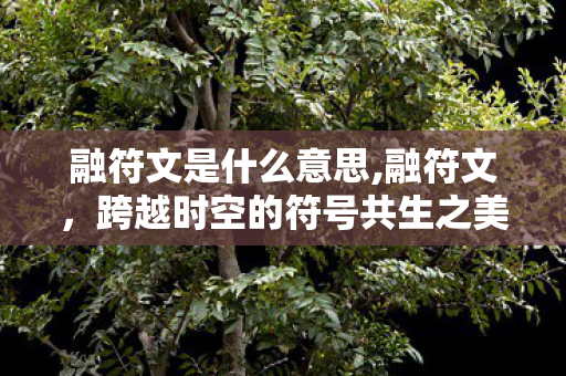 融符文是什么意思,融符文,跨越时空的符号共生之美 融符文是什么意思,融符文,跨越时空的符号共生之美
