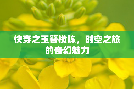 快穿之玉簪横陈,时空之旅的奇幻魅力 快穿之玉簪横陈,时空之旅的奇幻魅力