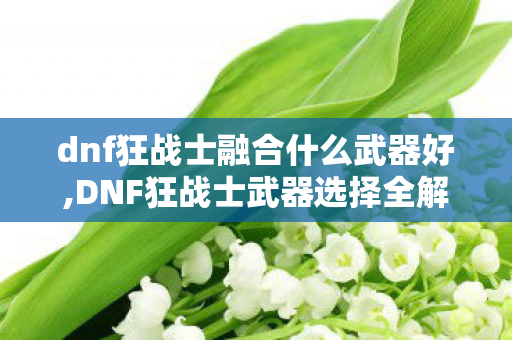 dnf狂战士融合什么武器好,DNF狂战士武器选择全解析,流派适配与毕业指南 dnf狂战士融合什么武器好,DNF狂战士武器选择全解析,流派适配与毕业指南