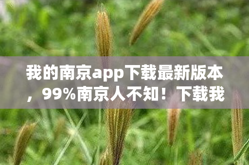 我的南京app下载最新版本,99%南京人不知!下载我的南京竟藏着这3大逆天隐藏玩法! 我的南京app下载最新版本,99%南京人不知!下载我的南京竟藏着这3大逆天隐藏玩法!