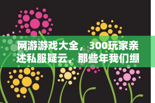 网游游戏大全，300玩家亲述私服疑云，那些年我们绷不住的网吧狂欢夜