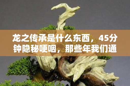 龙之传承是什么东西，45分钟隐秘哽咽，那些年我们通宵守护的龙之传承