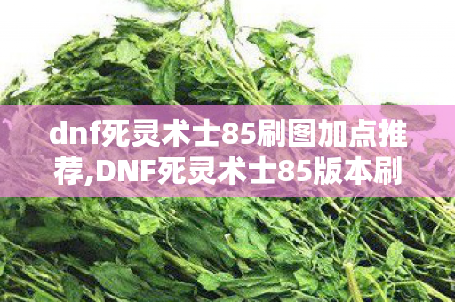 dnf死灵术士85刷图加点推荐,DNF死灵术士85版本刷图加点攻略,打造高效暗黑输出 dnf死灵术士85刷图加点推荐,DNF死灵术士85版本刷图加点攻略,打造高效暗黑输出