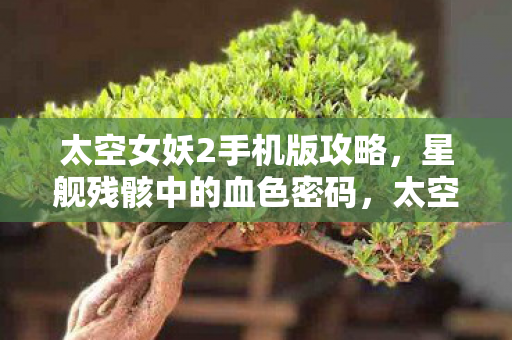太空女妖2手机版攻略,星舰残骸中的血色密码,太空女妖悬案,谁在暗处低语? 太空女妖2手机版攻略,星舰残骸中的血色密码,太空女妖悬案,谁在暗处低语?