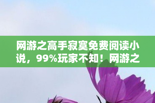 网游之高手寂寞免费阅读小说,99%玩家不知!网游之高手寂寞隐藏结局竟让全网炸锅! 网游之高手寂寞免费阅读小说,99%玩家不知!网游之高手寂寞隐藏结局竟让全网炸锅!