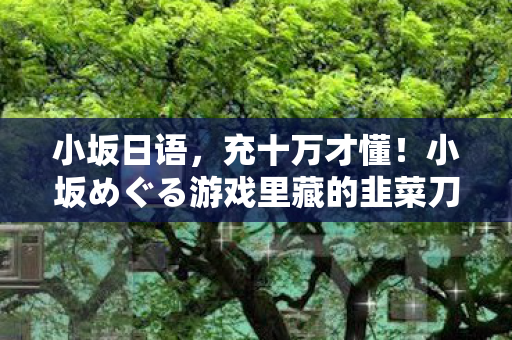 小坂日语,充十万才懂!小坂めぐる游戏里藏的韭菜刀,砍得我钱包吓一跳! 小坂日语,充十万才懂!小坂めぐる游戏里藏的韭菜刀,砍得我钱包吓一跳!
