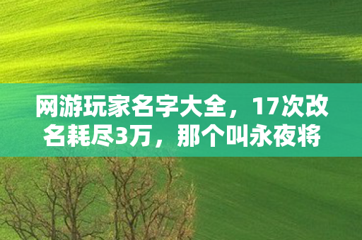 网游玩家名字大全,17次改名耗尽3万,那个叫永夜将至的玩家,在2027年删号前留了封血书 网游玩家名字大全,17次改名耗尽3万,那个叫永夜将至的玩家,在2027年删号前留了封血书