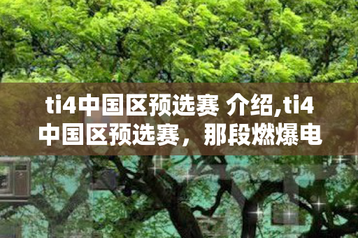 ti4中国区预选赛 介绍,ti4中国区预选赛,那段燃爆电竞圈的热血征程 ti4中国区预选赛 介绍,ti4中国区预选赛,那段燃爆电竞圈的热血征程