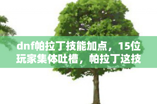 dnf帕拉丁技能加点，15位玩家集体吐槽，帕拉丁这技能机制，策划是来搞笑的？绷不住了！