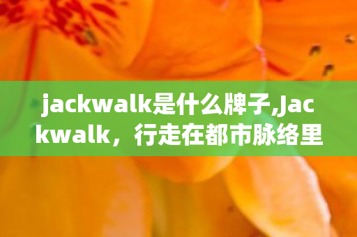 jackwalk是什么牌子,Jackwalk,行走在都市脉络里的轻时尚表达 jackwalk是什么牌子,Jackwalk,行走在都市脉络里的轻时尚表达