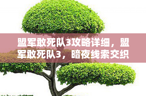 盟军敢死队3攻略详细，盟军敢死队3，暗夜线索交织的悬案，毛骨悚然真相待揭！
