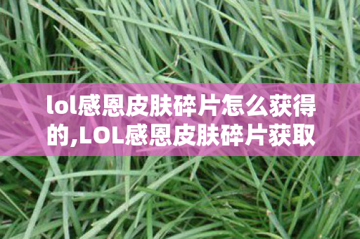 lol感恩皮肤碎片怎么获得的,LOL感恩皮肤碎片获取攻略,解锁专属福利的实用方法 lol感恩皮肤碎片怎么获得的,LOL感恩皮肤碎片获取攻略,解锁专属福利的实用方法