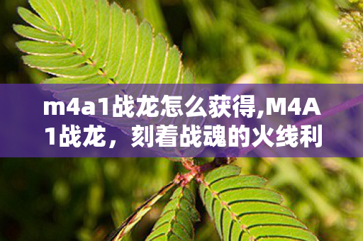 m4a1战龙怎么获得,M4A1战龙,刻着战魂的火线利刃 m4a1战龙怎么获得,M4A1战龙,刻着战魂的火线利刃
