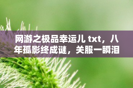 网游之极品幸运儿 txt,八年孤影终成谜,关服一瞬泪目空 网游之极品幸运儿 txt,八年孤影终成谜,关服一瞬泪目空