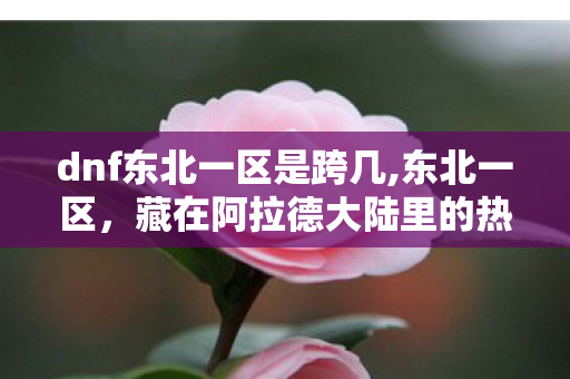 dnf东北一区是跨几,东北一区,藏在阿拉德大陆里的热乎气 dnf东北一区是跨几,东北一区,藏在阿拉德大陆里的热乎气