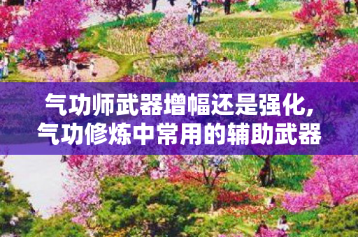 气功师武器增幅还是强化,气功修炼中常用的辅助武器与器物 气功师武器增幅还是强化,气功修炼中常用的辅助武器与器物