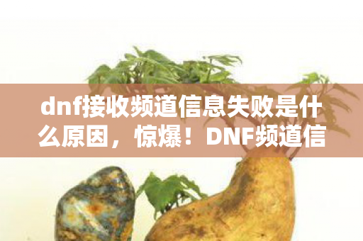 dnf接收频道信息失败是什么原因,惊爆!DNF频道信息接收竟99%玩家遇阻,背后真相令人咋舌! dnf接收频道信息失败是什么原因,惊爆!DNF频道信息接收竟99%玩家遇阻,背后真相令人咋舌!