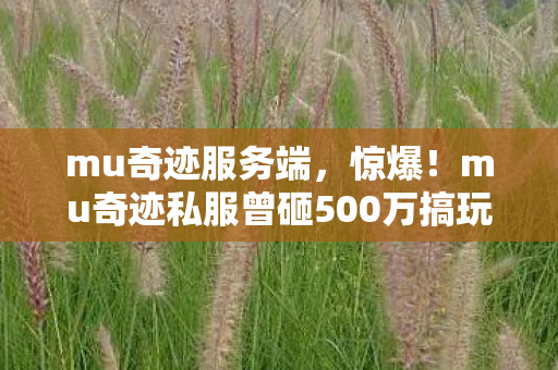 mu奇迹服务端,惊爆!mu奇迹私服曾砸500万搞玩法,背后隐情让人吓一跳! mu奇迹服务端,惊爆!mu奇迹私服曾砸500万搞玩法,背后隐情让人吓一跳!