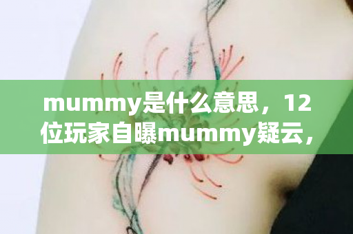 mummy是什么意思,12位玩家自曝mummy疑云,真相竟让退坑佬当场破防! mummy是什么意思,12位玩家自曝mummy疑云,真相竟让退坑佬当场破防!