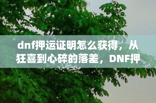 dnf押运证明怎么获得,从狂喜到心碎的落差,DNF押运bug真相揭晓,笑着笑着就哭了 dnf押运证明怎么获得,从狂喜到心碎的落差,DNF押运bug真相揭晓,笑着笑着就哭了