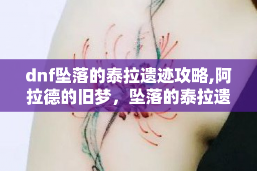 dnf坠落的泰拉遗迹攻略,阿拉德的旧梦，坠落的泰拉遗迹里的旧时光