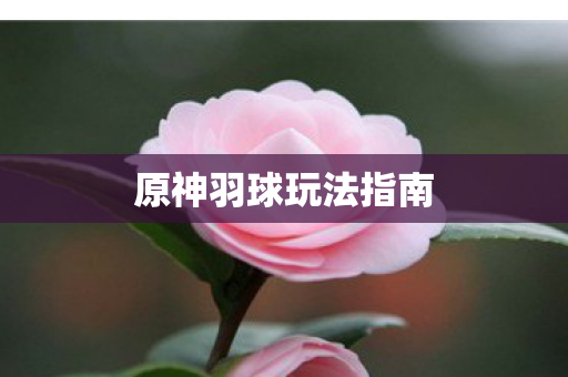 原神羽球玩法指南
