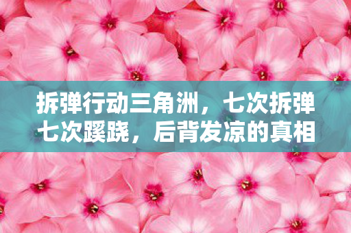 拆弹行动三角洲,七次拆弹七次蹊跷,后背发凉的真相竟藏在这虚拟深渊 拆弹行动三角洲,七次拆弹七次蹊跷,后背发凉的真相竟藏在这虚拟深渊