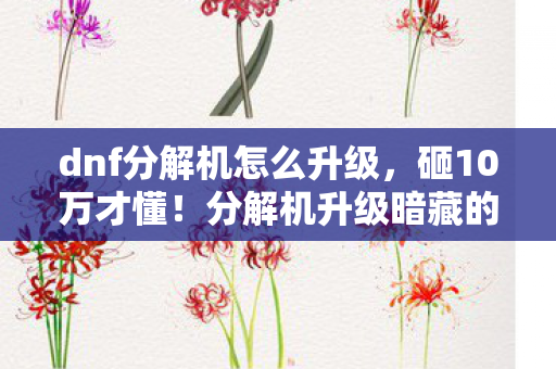 dnf分解机怎么升级，砸10万才懂！分解机升级暗藏的吸血陷阱，真相让我吓一跳！