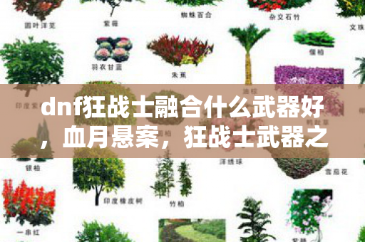 dnf狂战士融合什么武器好，血月悬案，狂战士武器之谜，隐藏线索竟指向毛骨悚然的真相？