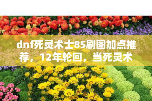 dnf死灵术士85刷图加点推荐,12年轮回,当死灵术士的85级加点成为时代最后的谜题,泪目 dnf死灵术士85刷图加点推荐,12年轮回,当死灵术士的85级加点成为时代最后的谜题,泪目