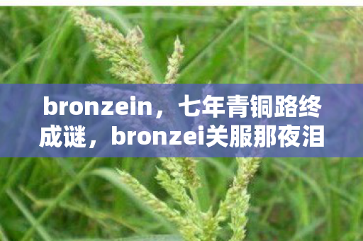 bronzein,七年青铜路终成谜,bronzei关服那夜泪目成河 bronzein,七年青铜路终成谜,bronzei关服那夜泪目成河