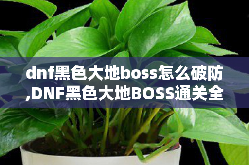dnf黑色大地boss怎么破防,DNF黑色大地BOSS通关全攻略,机制解析与实战技巧 dnf黑色大地boss怎么破防,DNF黑色大地BOSS通关全攻略,机制解析与实战技巧