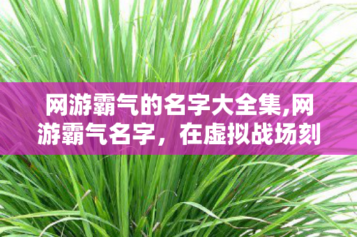 网游霸气的名字大全集,网游霸气名字，在虚拟战场刻下专属锋芒