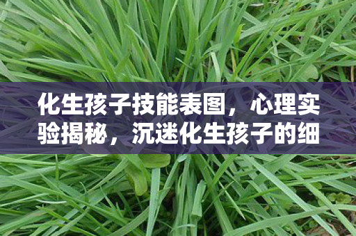 化生孩子技能表图,心理实验揭秘,沉迷化生孩子的细思极恐,我竟是自愿囚徒? 化生孩子技能表图,心理实验揭秘,沉迷化生孩子的细思极恐,我竟是自愿囚徒?
