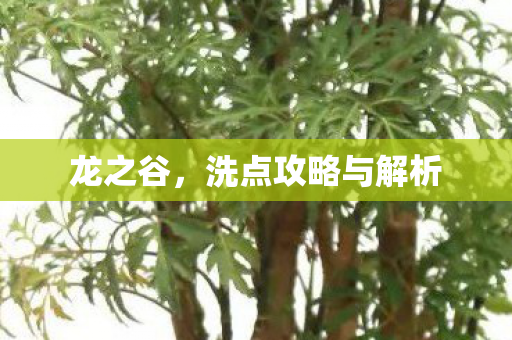 龙之谷,洗点攻略与解析 龙之谷,洗点攻略与解析