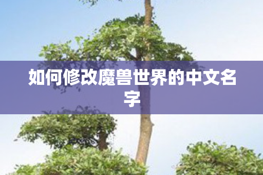 如何修改魔兽世界的中文名字