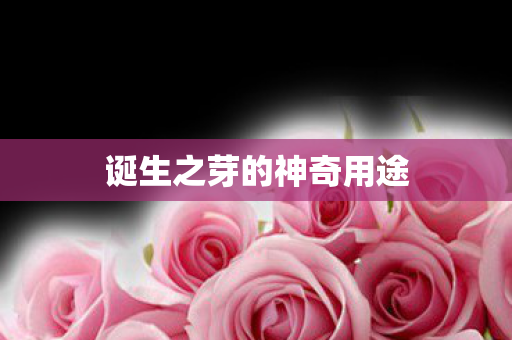诞生之芽的神奇用途 诞生之芽的神奇用途